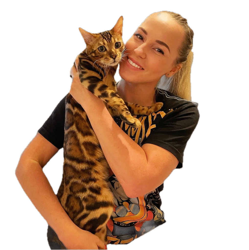 kittens for sale online USA